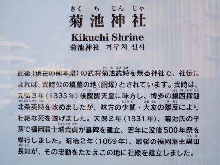 菊池神社の狛犬2_1.jpg
