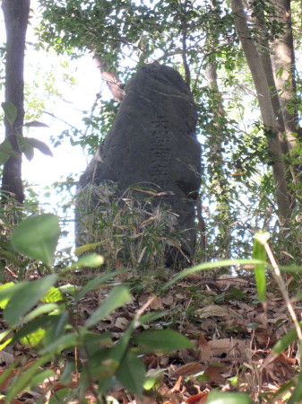 菊池神社の狛犬3_1.jpg