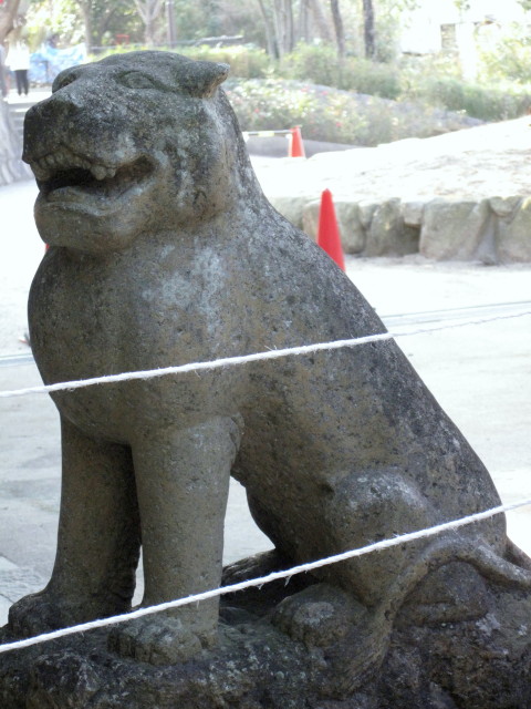 菊池神社の狛犬4_5_1.jpg