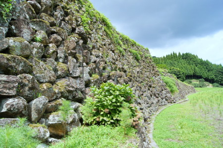 蕨野の棚田3_1.jpg