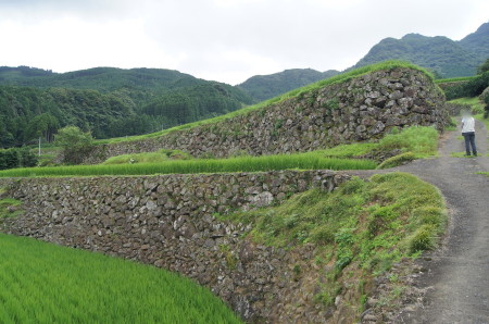 蕨野の棚田7_1.jpg